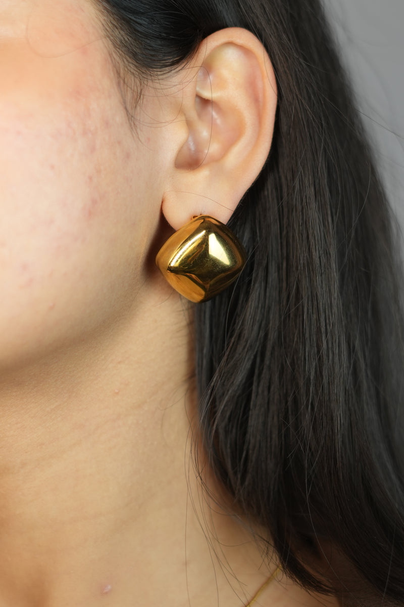 Regal Luxe Earrings